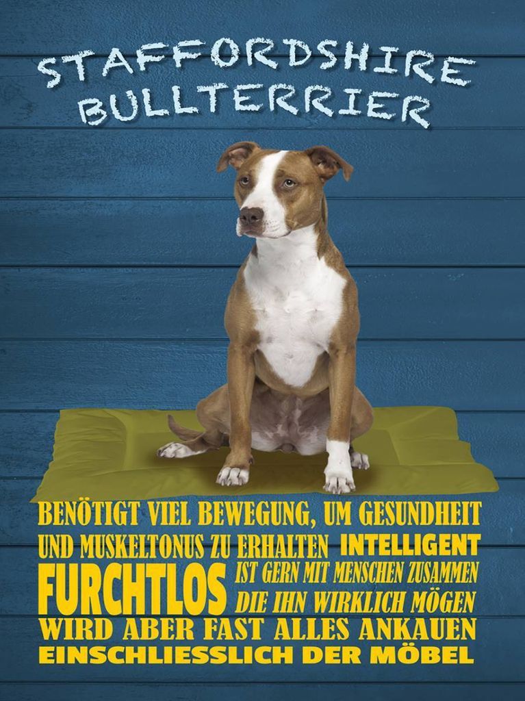 vianmo Holzschild 40x30 cm Staffordshire Bullterrier Hund