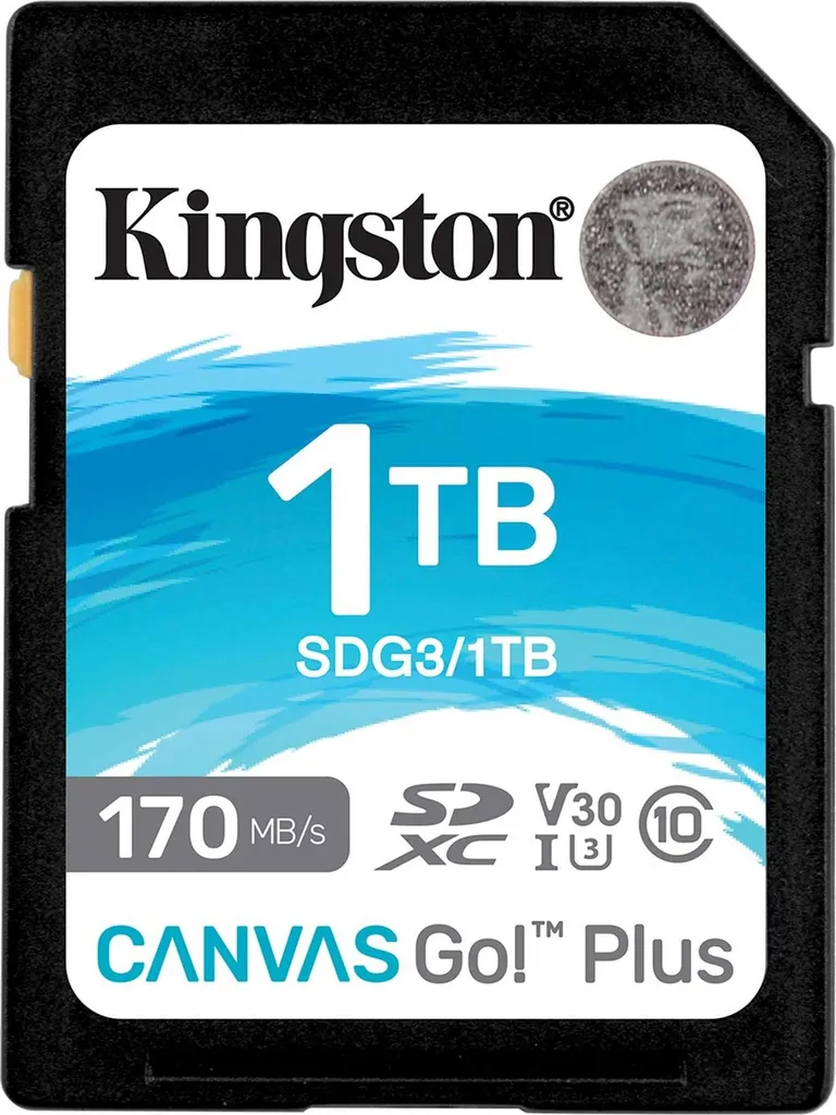 Kingston Canvas Go Plus 1TB: La Migliore SD per Viaggiatori e 4K