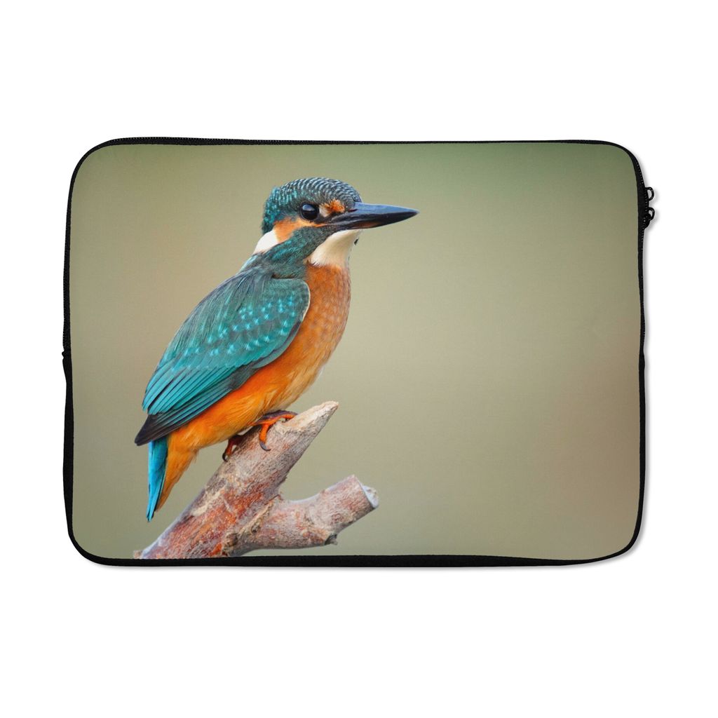 MuchoWow Laptop Hülle 13 Zoll Vogel - Eisvogel - Zweig Laptoptasche - Laptophülle - Sleeve - Rundumschutz
