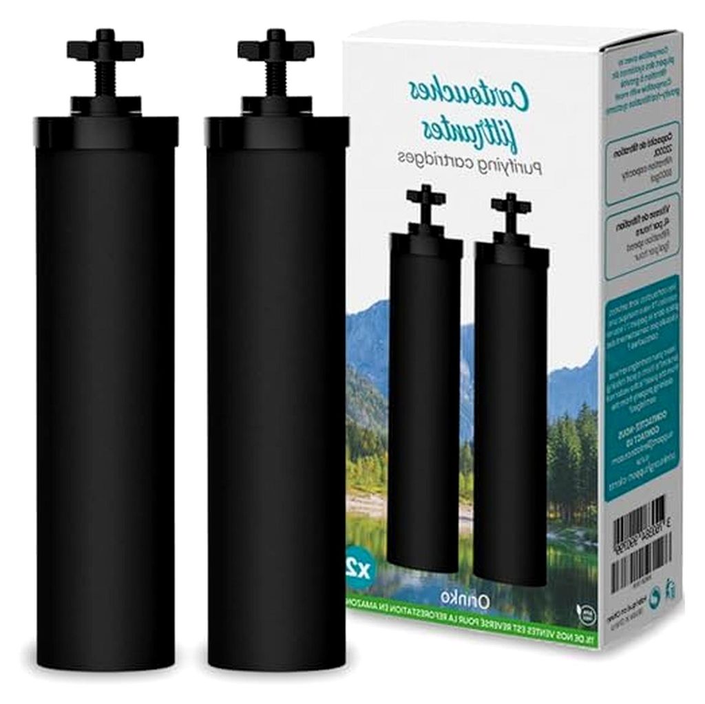 Kohle-Schwerkraftfilterkartuschen x2 - Ersatzfilter für Berkey, Doulton und British Berkefeld - Aktivkohle Wasserfiltereinsatz zur Entfernung von ...
