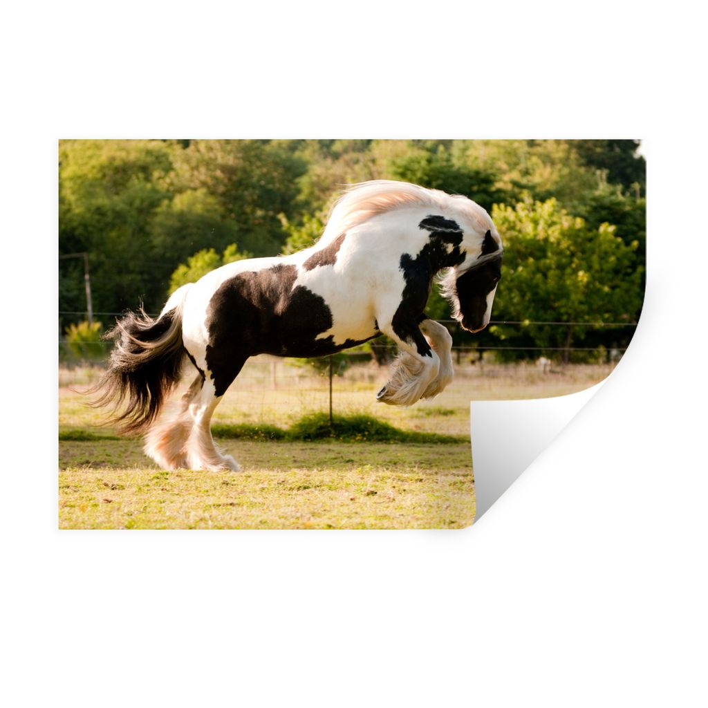 MuchoWow Wandtattoo Wandsticker Wandaufkleber Springender Tinker 60x40 cm Selbstklebend und Repositionierbar - Wierderverwendbar - Selbstklebend