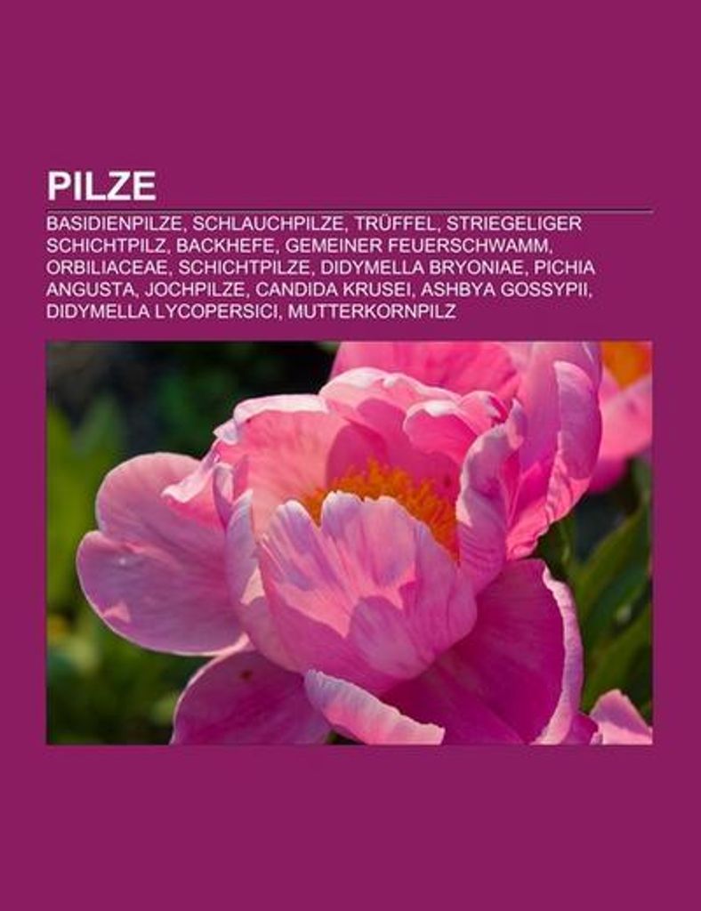 Pilze