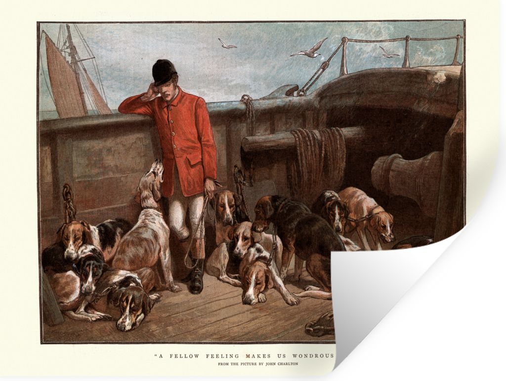 MuchoWow - Selbstklebend - Fototapeten