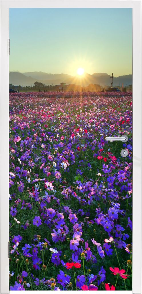 MuchoWow Türtapete Selbstklebende Türfolie Blumen - Lila - Sonnenuntergang 90x235 cm Türposter Türaufkleber Klebefolie Türklebefolie - XXL-P...