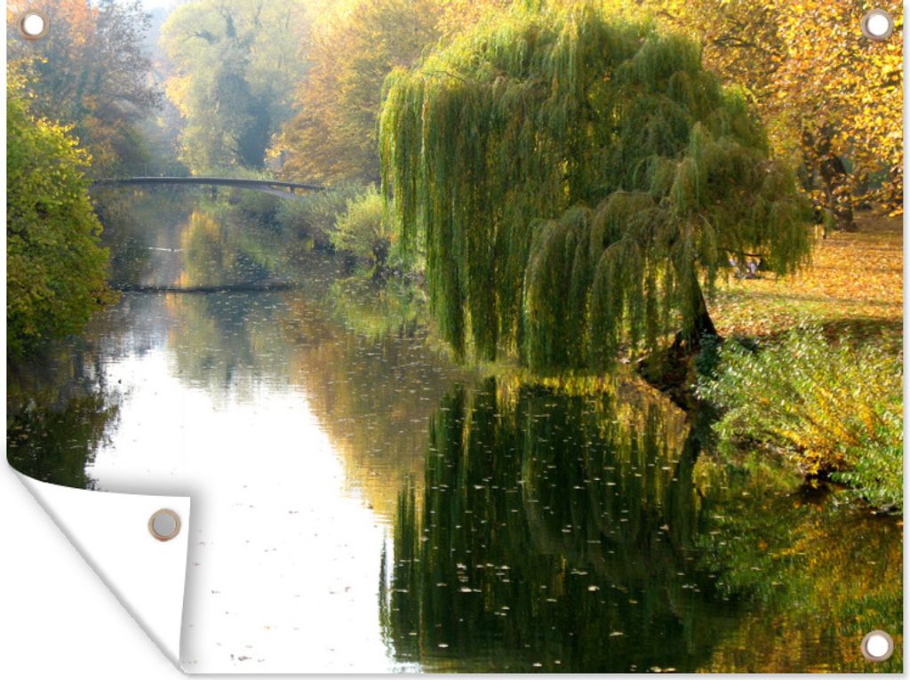 MuchoWow 80x60 cm Outdoor-Poster Gartendeko Sichtschutz Garten Poster für den Garten Trauerweide über dem Wasser