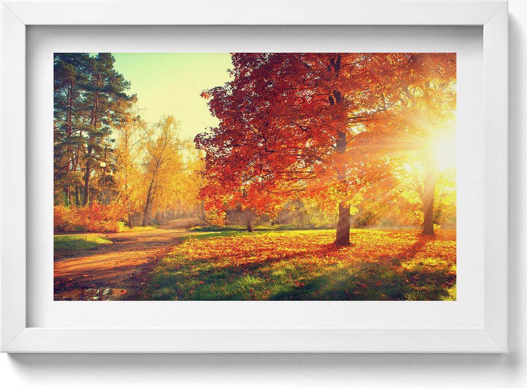 Herbstlicher Park– Wandbild mit Rahmen – Gerahmtes Bild – Wanddekoration – 30x20 cm – Weiß Rahmen
