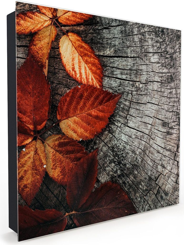 Nachbildung-Schlüsselkasten, Magnetpinnwand und Memoboard mit Glasfront Motiv Herbstblätter auf Stamm
