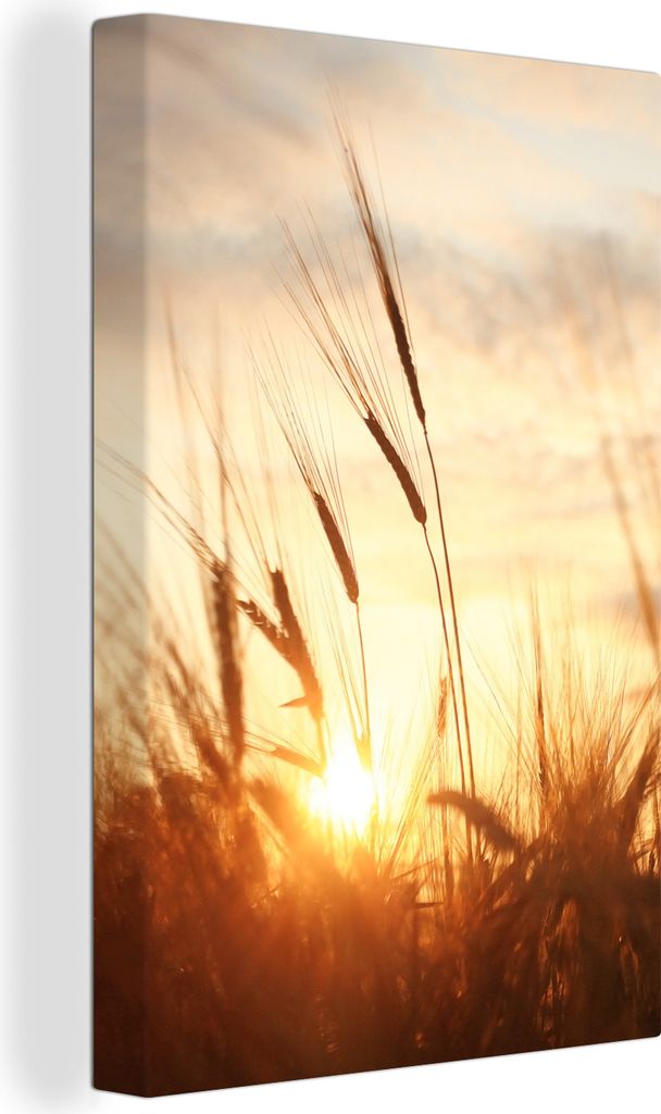 OneMillionCanvasses - Leinwandbilder - 90x140 cm, Schilf - Gras - Sonnenuntergang - Natur - Horizont, Wandbilder Kunstdruck Wanddekoration - Foto...