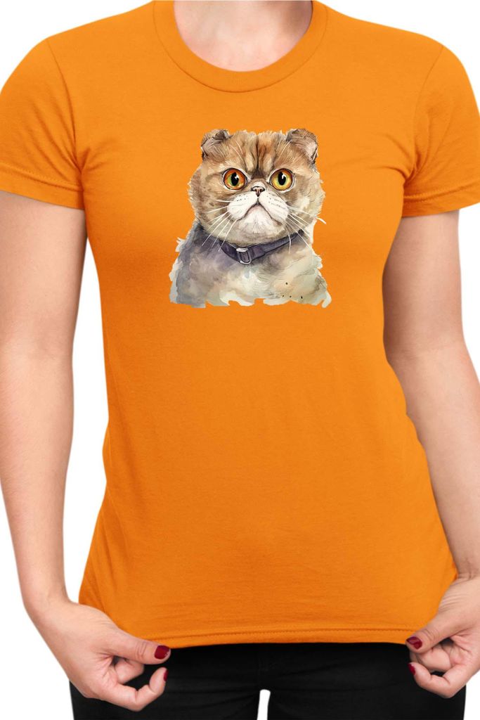 Damen T-Shirt Funny Cats Breeds Foldex Cat, Lady XL / Orange