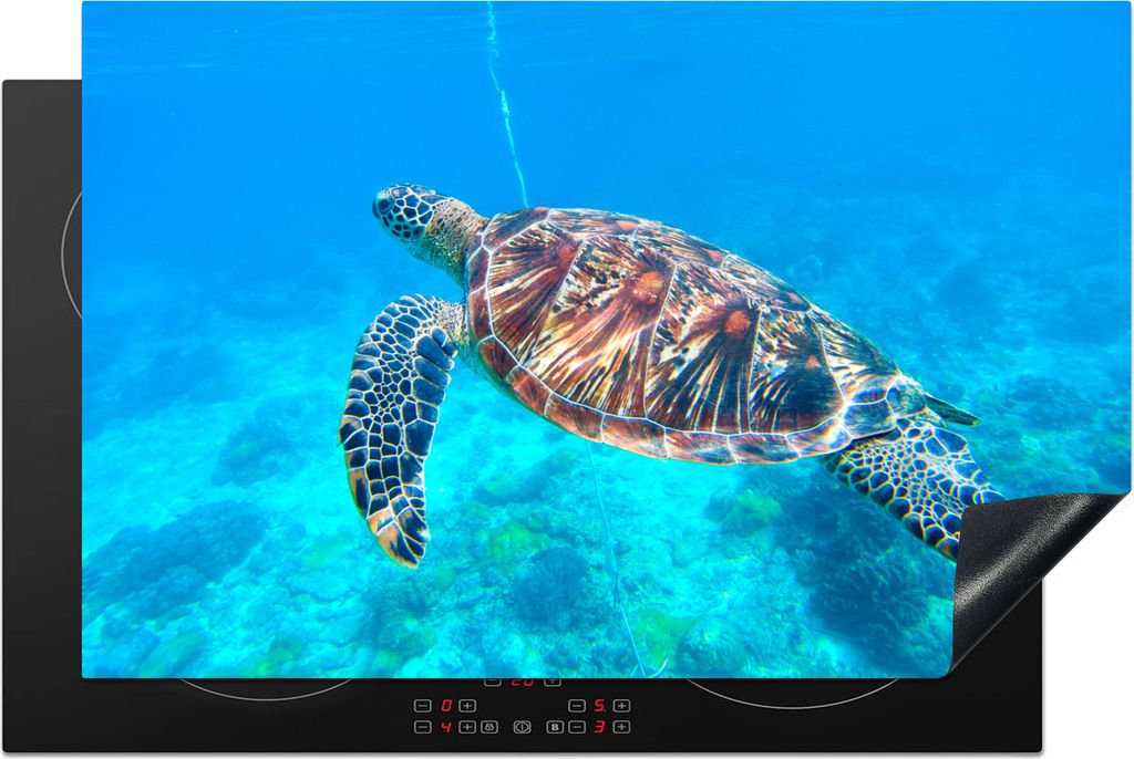 KitchenYeah Herdabdeckplatte Schildkröte - Meer - Blau , 80x52cm, Küche Deko, Glaskeramikkochfeld Herdabdeckung, Abdeckplatte fùr Kochfeld