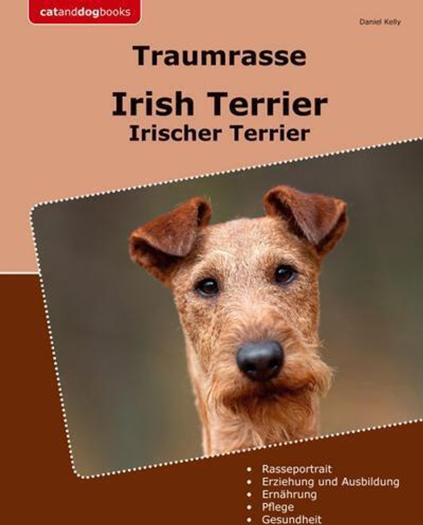 Traumrasse Irish Terrier