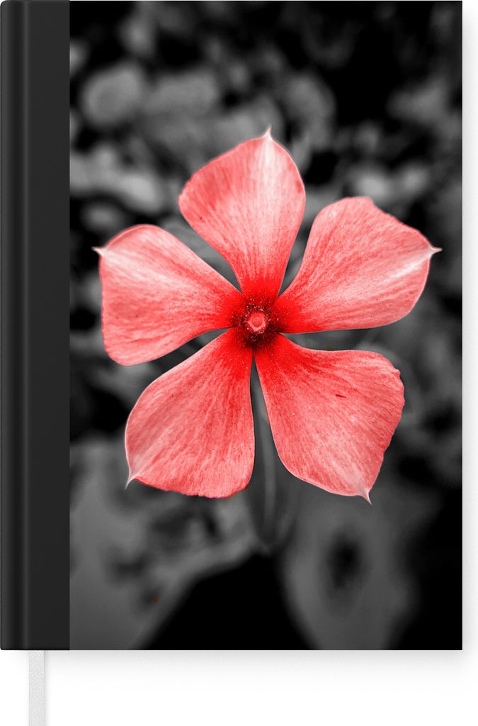 MuchoWow Notizbuch Tagebuch Haushaltsbuch Notebook A5 Blumen - Rot - Schwarz - Weiß - Notizblock - Notizheft - Notebook - Schreibblock - Papier
