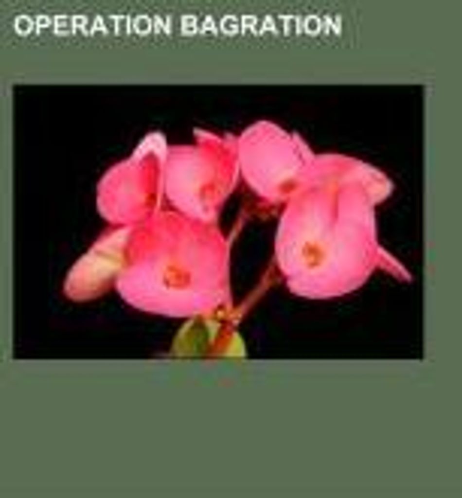 Operation Bagration