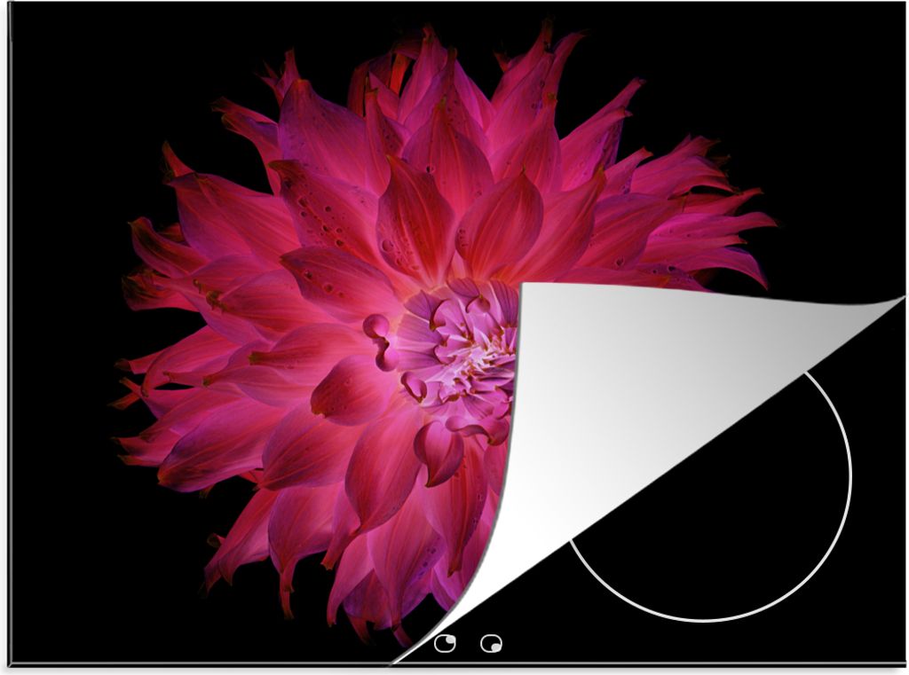 KitchenYeah Herdabdeckplatte Dahlie - Blume - Rosa , 58x51cm, Küche Deko, Glaskeramikfeld Herdabdeckung, Abdeckplatte fùr Kochfeld