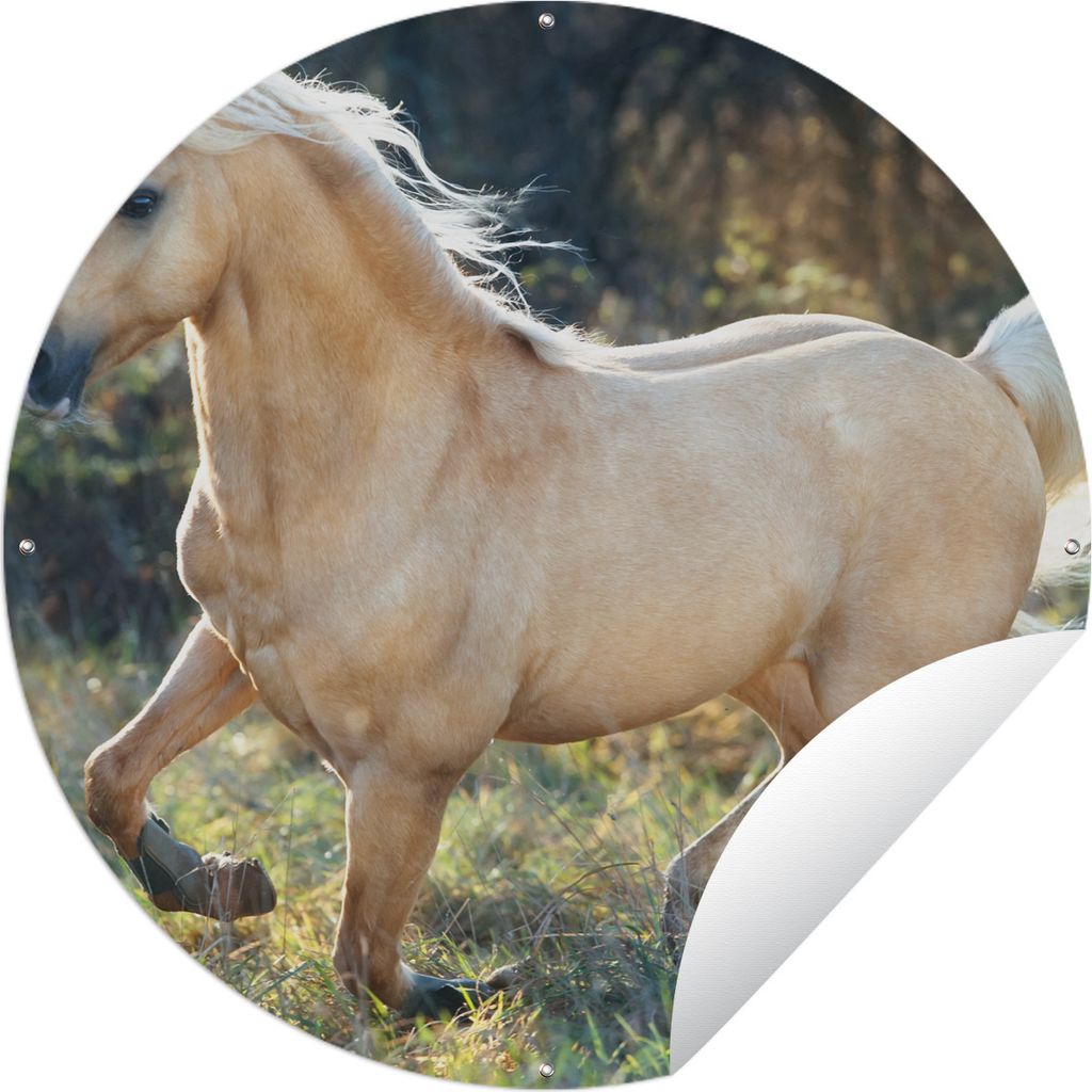 MuchoWow Gartenposter Outdoor-Poster Rund Pferd - Natur - Braun Ø 90 cm Gartendeko Rundes Poster draußen