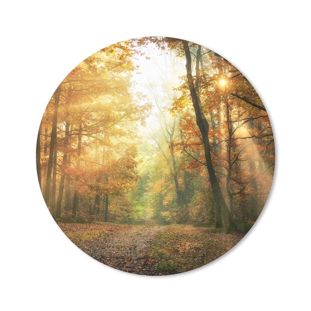MuchoWow Mauspad Mousepad Wald - Herbst - Sonne - Landschaft - Natur - Bäume - Laub 20x20 cm - Mousepads - Maus Mat - Pad - Mausunterlage - Schr...