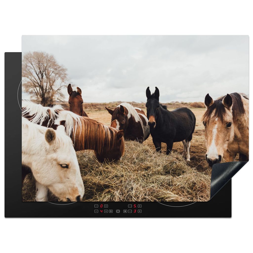 KitchenYeah Herdabdeckplatte Tiere - Pferd , 70x52cm, Küche Deko, Glaskeramikkochfeld Herdabdeckung, Abdeckplatte fùr Kochfeld