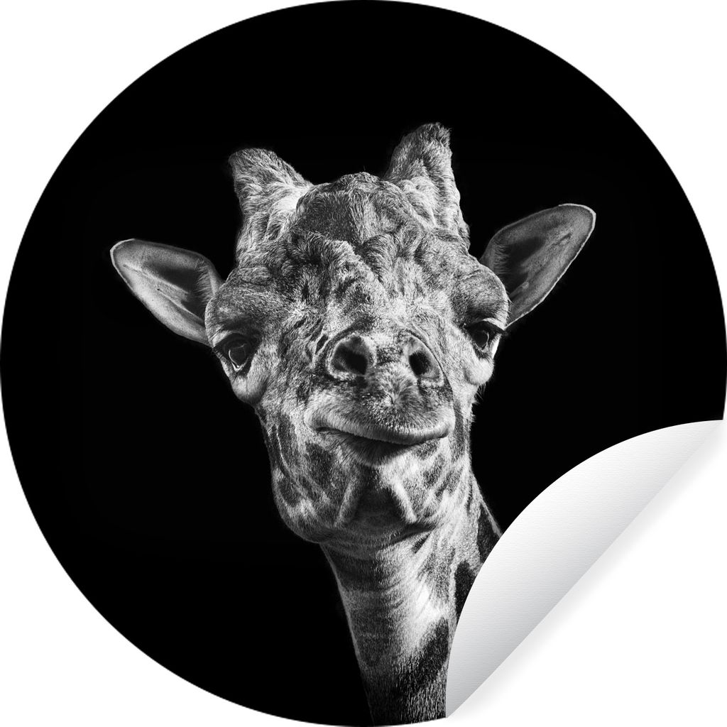 MuchoWow Runde Wandtattoo - Wandsticker Tapete Aufkleber Giraffe - Tier - Schwarz - Weiß Ø 50 cm Selbstklebend und Repositionierbar - Wandaufkl...