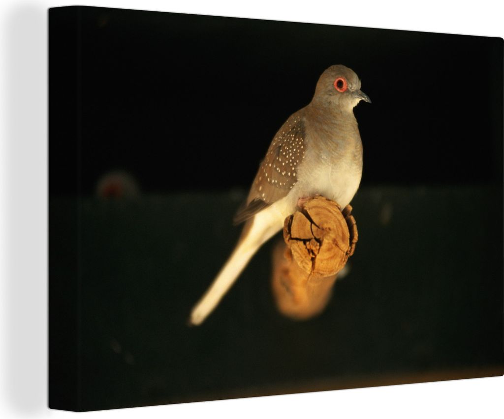 OneMillionCanvasses - Leinwandbilder - 140x90 cm, Taube - Zweig - Diamant, Wandbilder Kunstdruck Wanddekoration - Foto auf Leinwand - Gemälde au...