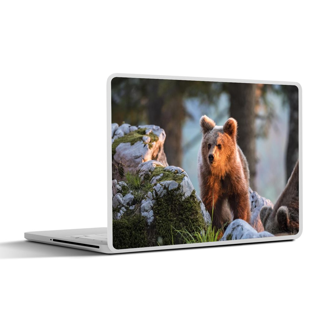 MuchoWow Laptop Aufkleber Sticker Cover Bär - Braun - Tier 40x30 cm - Laptop Dekoration - Selbstklebend