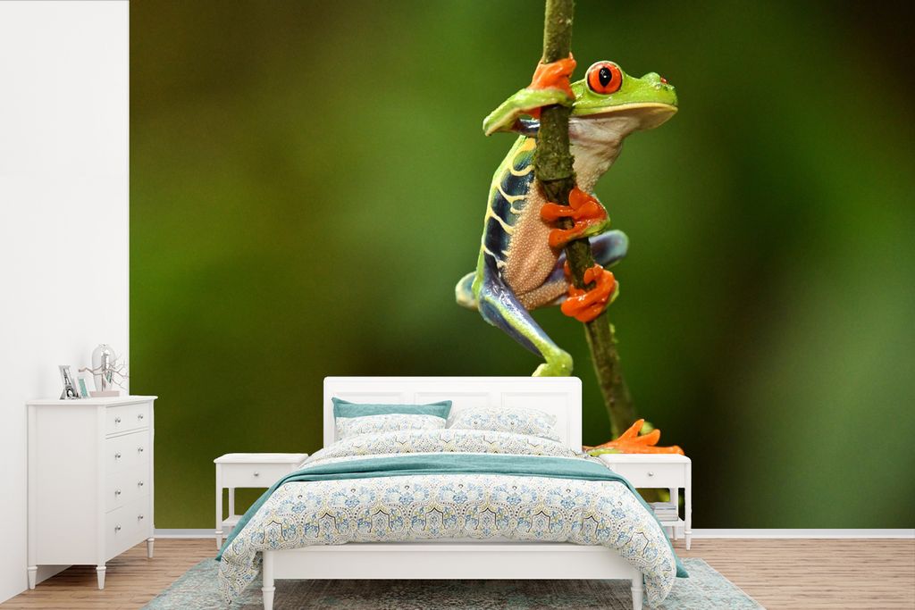 MuchoWow Fototapete für Wohnzimmer oder Schlafzimmer Wandtapete Vinyl Motivtapete Frosch - Regenwald - Zweig - 450x300 cm - Gemusterte
