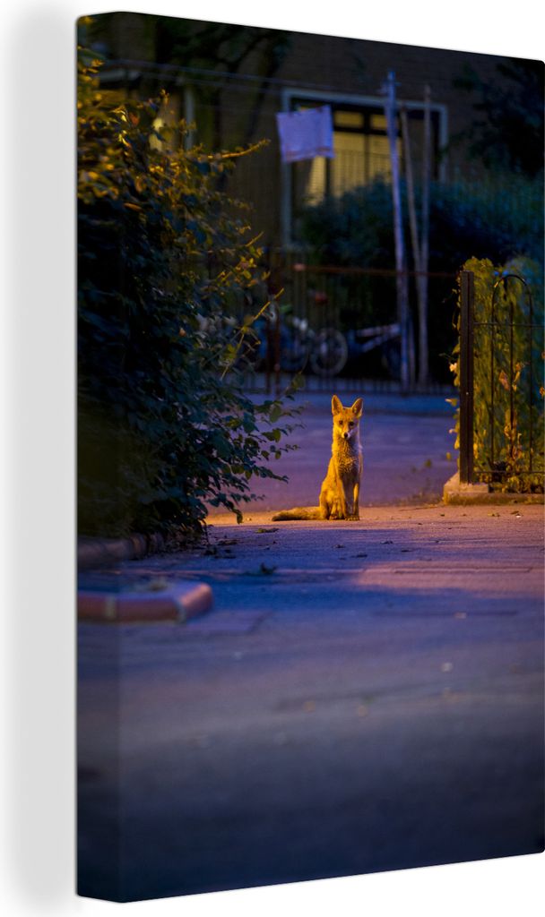 OneMillionCanvasses - Leinwandbilder - 90x140 cm, Rotfuchs - Stadt - Strauch, Wandbilder Kunstdruck Wanddekoration - Wandschmucke - Schlafzimmer