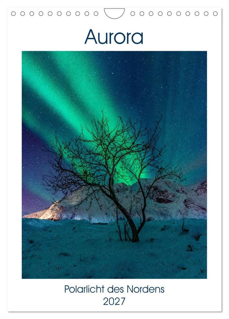 Aurora - Polarlicht des Nordens (Wandkalender 2027 DIN A4 hoch), CALVENDO Monatskalender