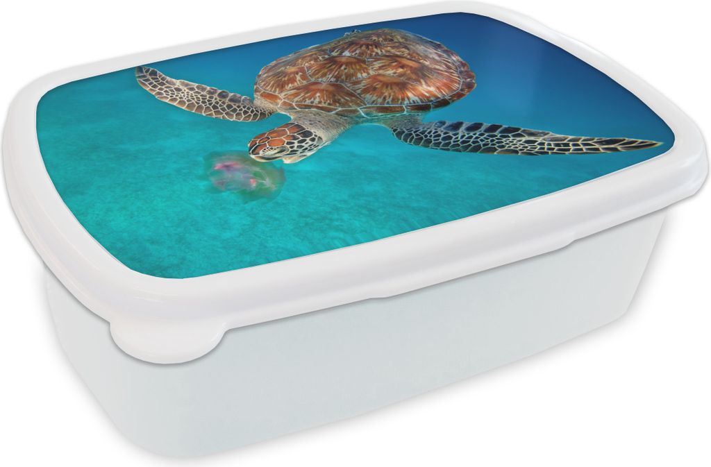 KitchenYeah Lunchbox Brotzeit Brotdose 17x11 cm Grüne Schildkröte mit Qualle Kinder Brotzeitdose - Lunch Box - Kinder - Sandwich-Box - Schulbox...