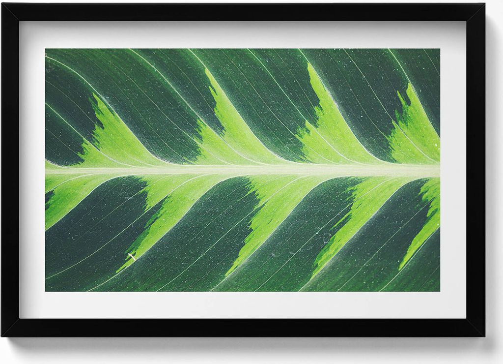 Textur und Adern eines Blattes– Wandbild mit Rahmen – Gerahmtes Bild – Wanddekoration – 60x40 cm – Schwarz Rahmen
