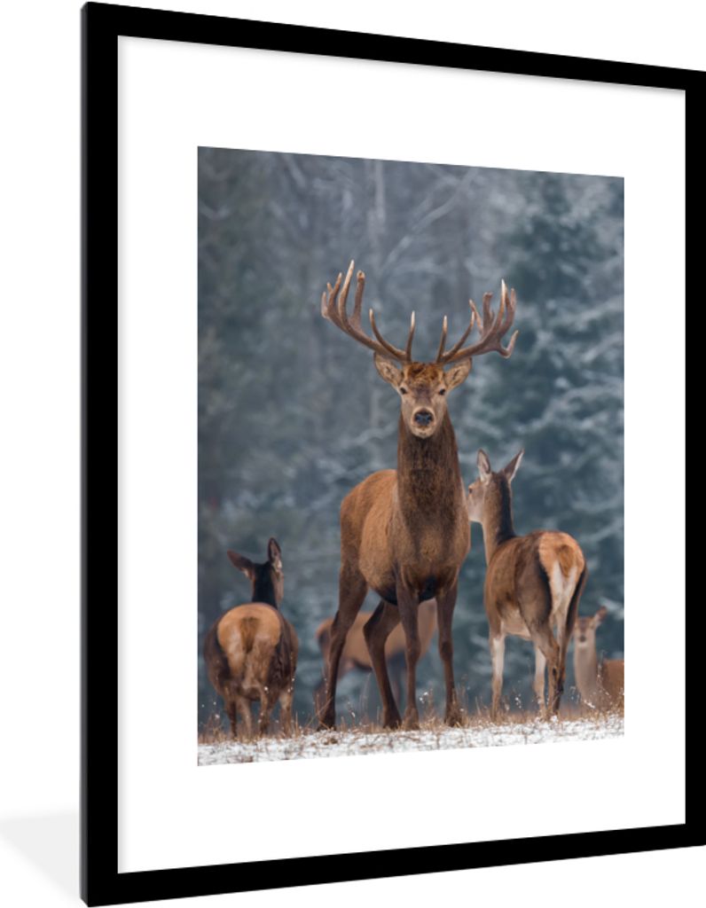 MuchoWow Gerahmtes Poster Hirsche - Winter - Schnee - Waldtiere - Wald - Natur 60x80 cm - Poster mit Schwarzem Bilderrahmen Wandposter Rahmen Fot...