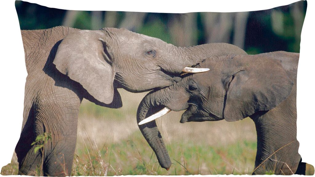 MuchoWow Zierkissen Sofakissen Wohnzimmer Dekokissen 50x30 cm Elefant - Tiere - Grau - Natur - Wohnzimmerdekoration - Polster mit Photo