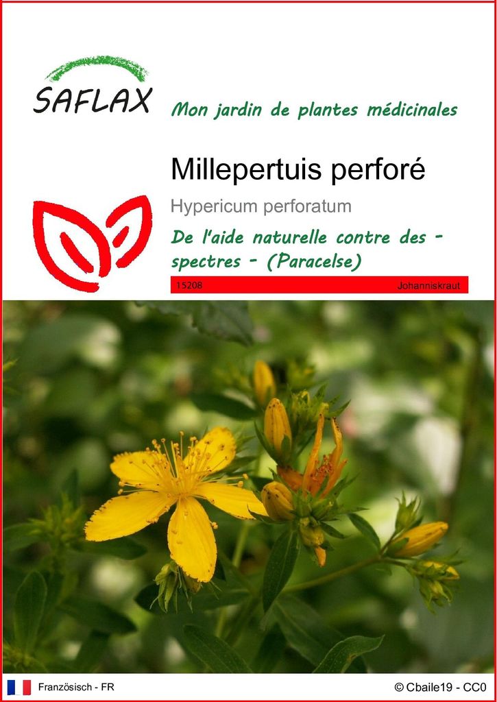 SAFLAX  - Millepertuis perforé - 300 graines - Hypericum Image du produit 