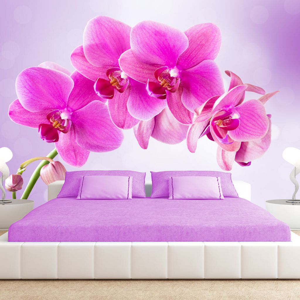 Basera Selbstklebende Fototapete Orchideenmotiv 10110906-120, mit UV-Schutz, 343x245 cm