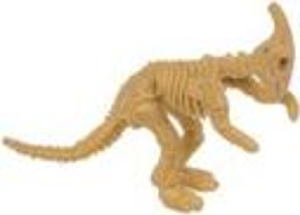 Dinosaurier Fossilien ca. 4 x 8 cm Ausgrabungsset Dino Skelett