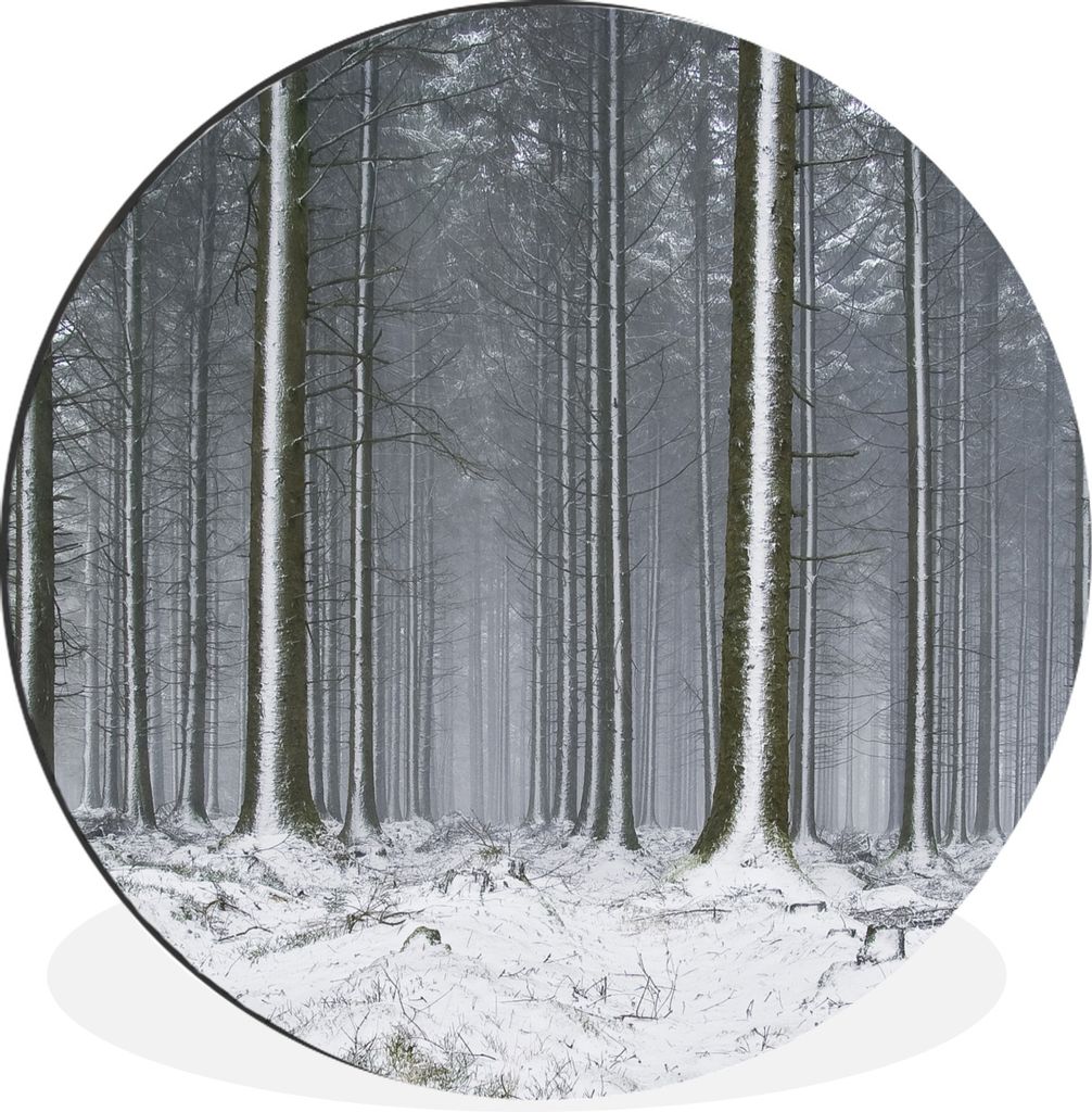 MuchoWow Aluminium Wandkreis Bäume - Winter - Schnee Ø 30 cm Wanddeko Modern Wohnzimmer - Wand Bild - Wohnzimmer - Runde Bilder - Alubilder - K...