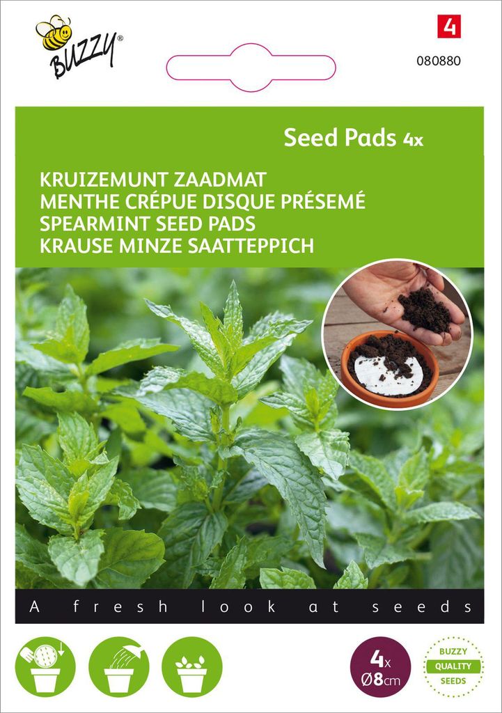 Krause Minze (Saatscheibe) | Minzesamen von Buzzy Seeds
