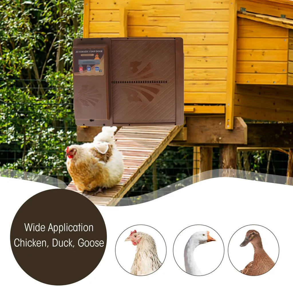 Porta Solare Automatica 3 in 1: Benessere Piumato e Sicurezza - 8