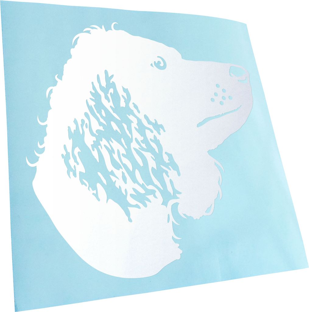 Kiwistar - Autoaufkleber - American Water Spaniel - Mattweiss - 60x60cm - Aufkleber für Auto, Laptop, Fahrrad, LKW, Motorrad mehrfarbig JDM Decal ...