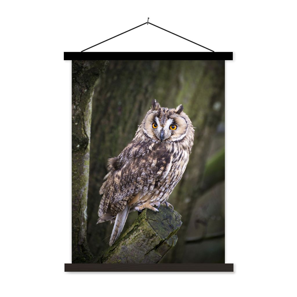 MuchoWow Textilposter Eule - Nahaufnahme - Baum 120x160 cm mit schwarzem Rahmen - Magnetischer