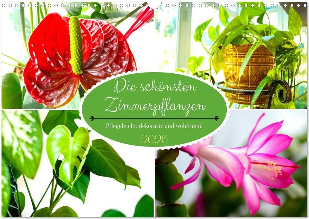 Die schönsten Zimmerpflanzen. Pflegeleicht, dekorativ und wohltuend (Wandkalender 2026 DIN A3 quer), CALVENDO Monatskalender