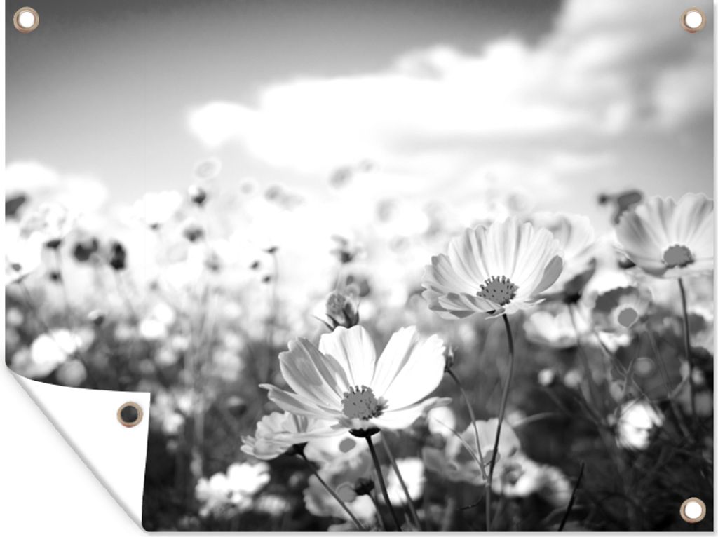 MuchoWow 40x30 cm Outdoor-Poster Gartendeko Sichtschutz Garten Poster für den Garten Blumen - Wiese - Lila - Gras - Weiß - Wolken - Blau