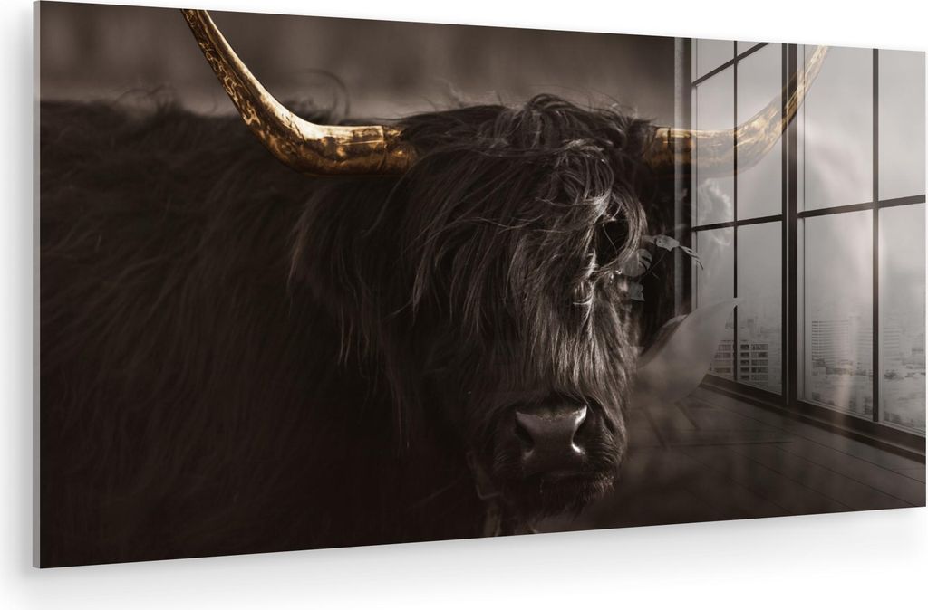 MuchoWow Glasbilder - Bilder auf Wandbild - Foto auf Glas Schottisches Hochlandrind - Gold - Kuhglocke - Hörner - Tiere 80x40 cm Wanddekoration au...