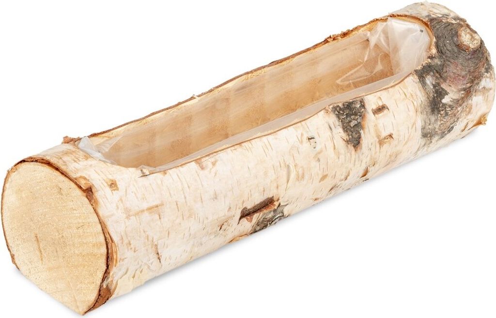 Birkenstamm Pflanzenschale ca. 29cm | Birkenstamm zum Bepflanzen