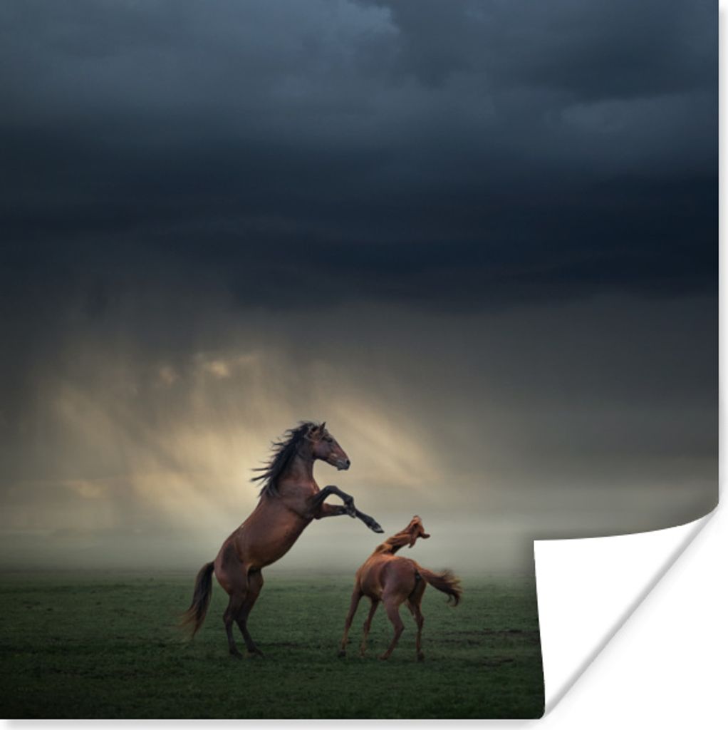 MuchoWow Poster Pferde - Braun - Wolken 30x30 cm - Wandposter - Printing