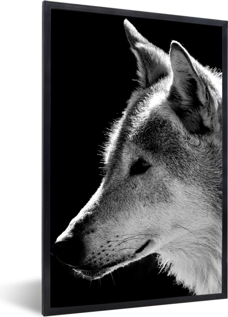 MuchoWow Gerahmtes Poster Wildlife - Wolf - Schwarz - Weiß 20x30 cm - Poster mit Schwarzem Bilderrahmen Wandposter Rahmen Foto Bilder - Drucken ...