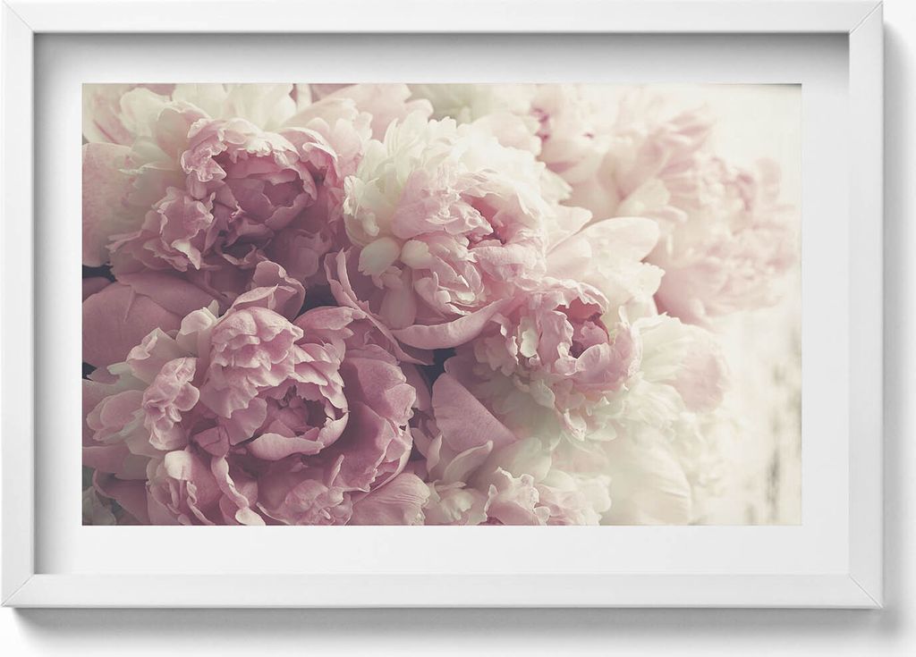 Subtile Blumen Pfingstrosen– Wandbild mit Rahmen – Gerahmtes Bild – Wanddekoration – 60x40 cm – Schwarz Rahmen