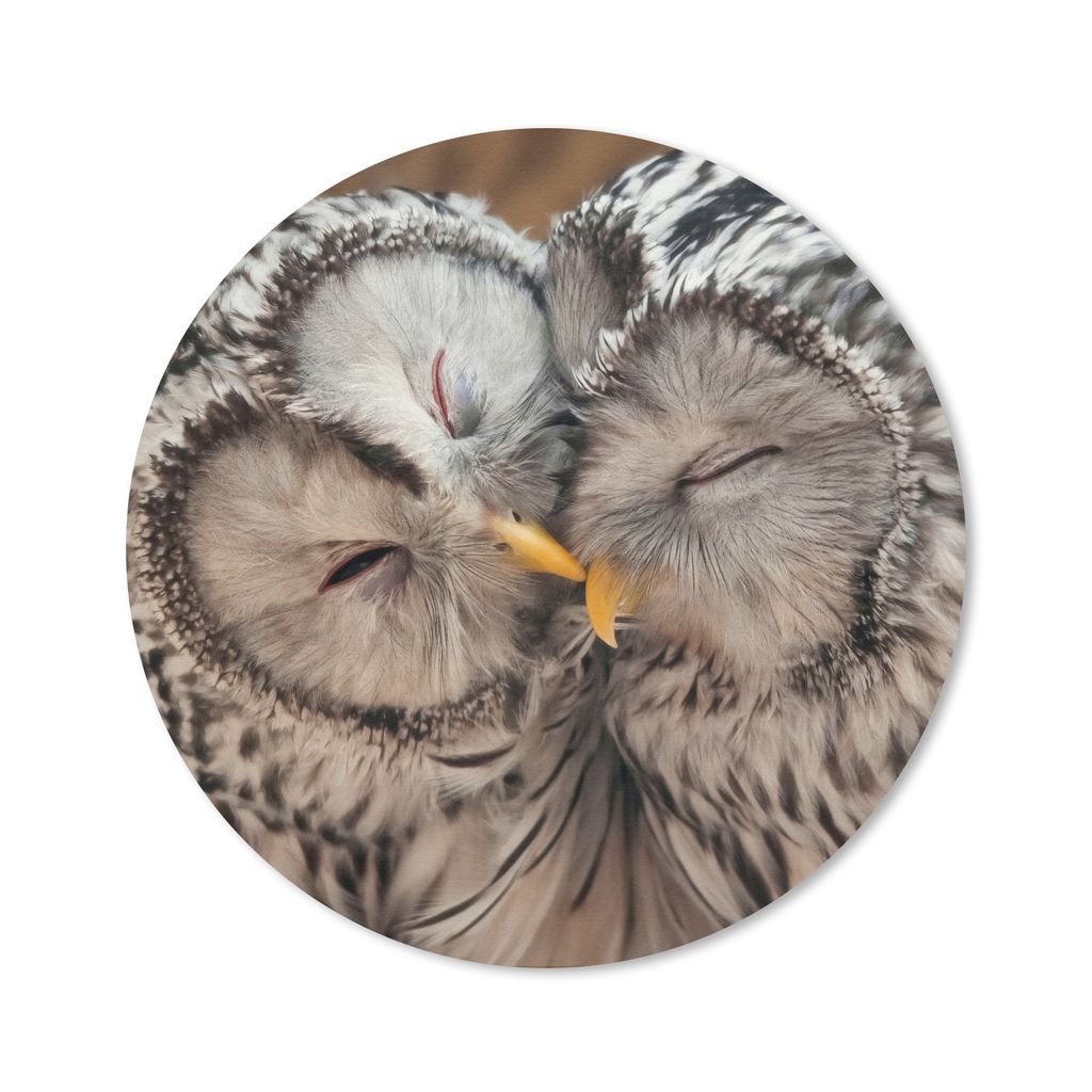 MuchoWow Mauspad Mousepad Eulen - Vögel - Schnabel - Familie 40x40 cm - Mousepads - Maus Mat - Pad - Mausunterlage - Schreibtisch Accessoires