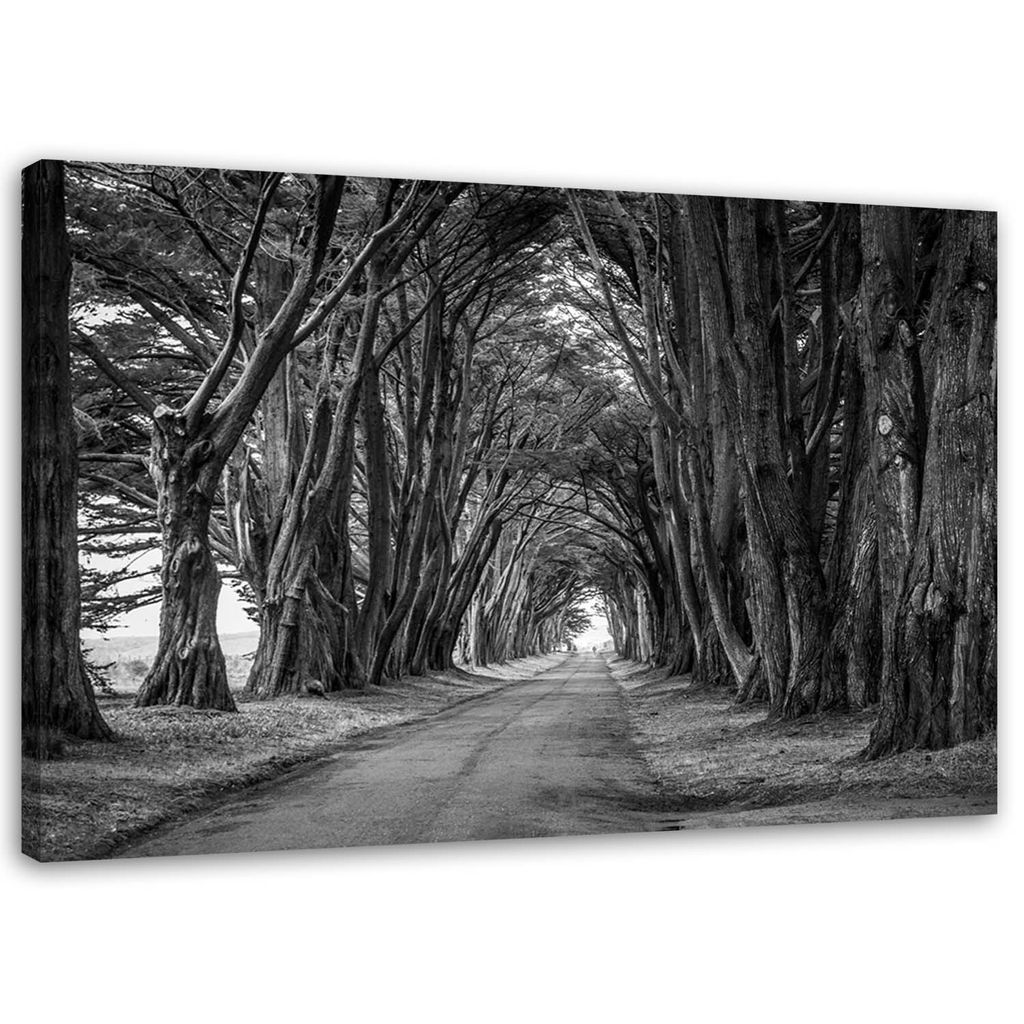 Leinwandbild waldallee schwarz und weiß 90x60 cm Feeby grau wandbild bereit zum aufhängen