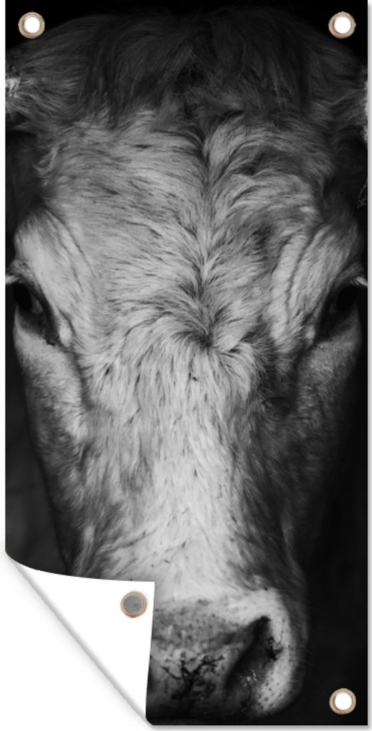 MuchoWow 80x160 cm Outdoor-Poster Gartendeko Sichtschutz Garten Poster für den Garten Tiere - Kuh - Schwarz - Weiß - Kuhkopf