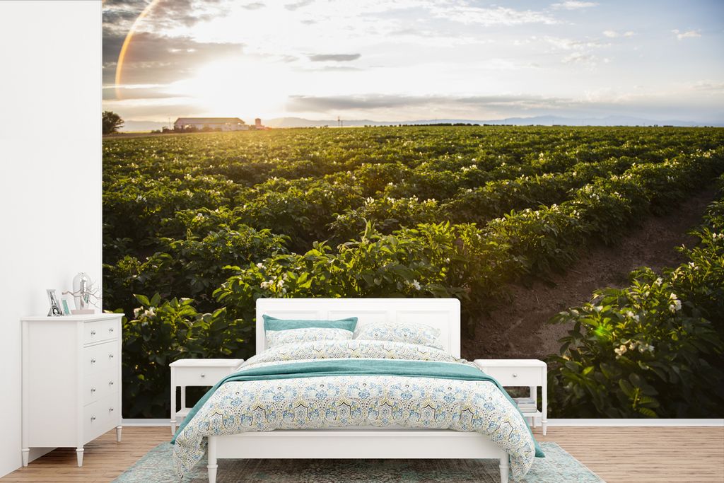 MuchoWow Fototapete für Wohnzimmer oder Schlafzimmer Wandtapete Vinyl Motivtapete Luft - Sonne - Grün - 525x350 cm - Das Hintergrundbild